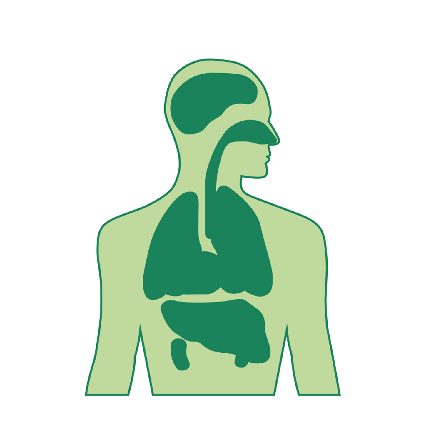 infographie particules fines PM1