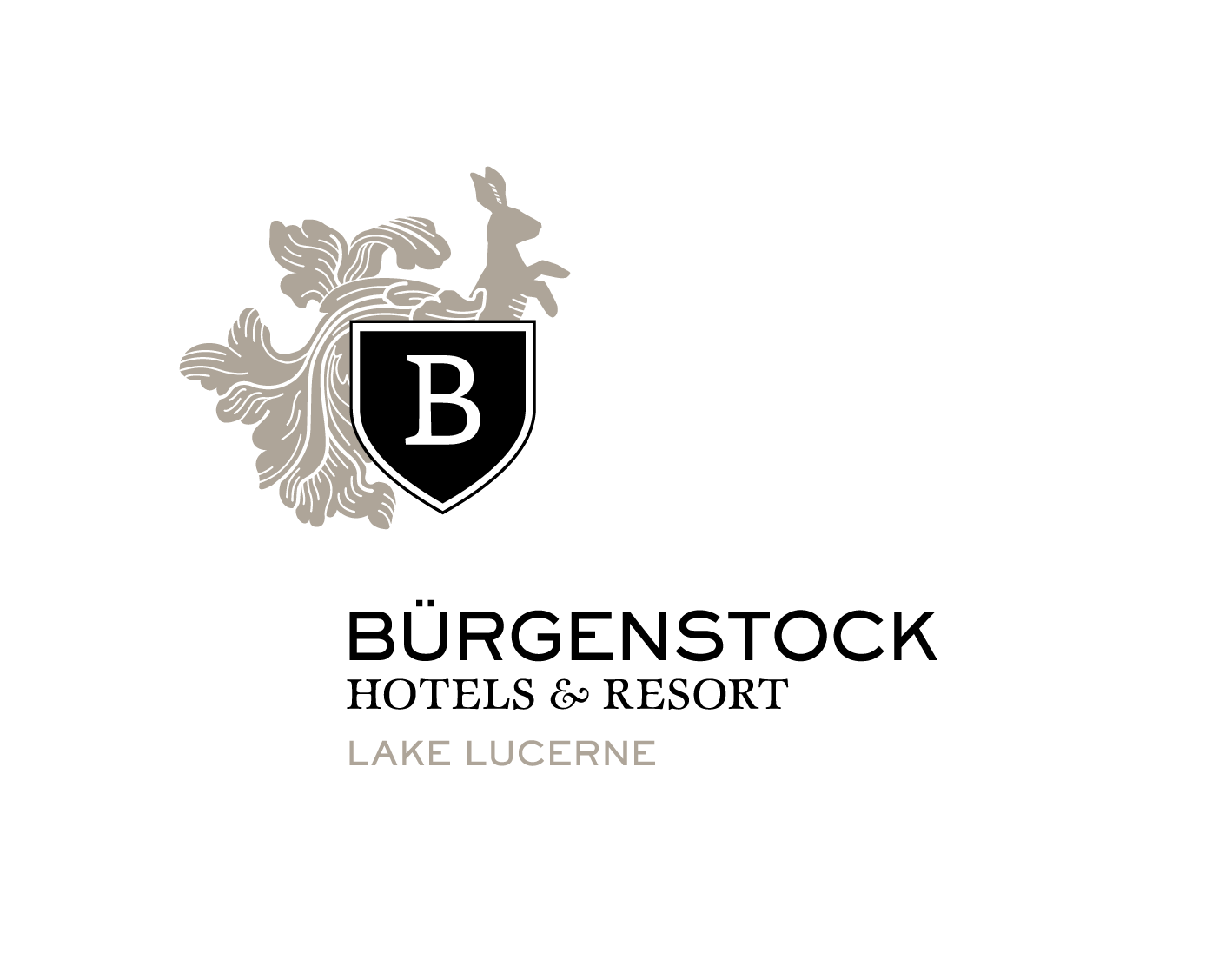 Das Bürgenstock-Resort in der Schweiz setzt auf CamVane 100 Wetterschutzgitter um ihre Lüftungsanlage trocken und frei von Vereisungen zu halten