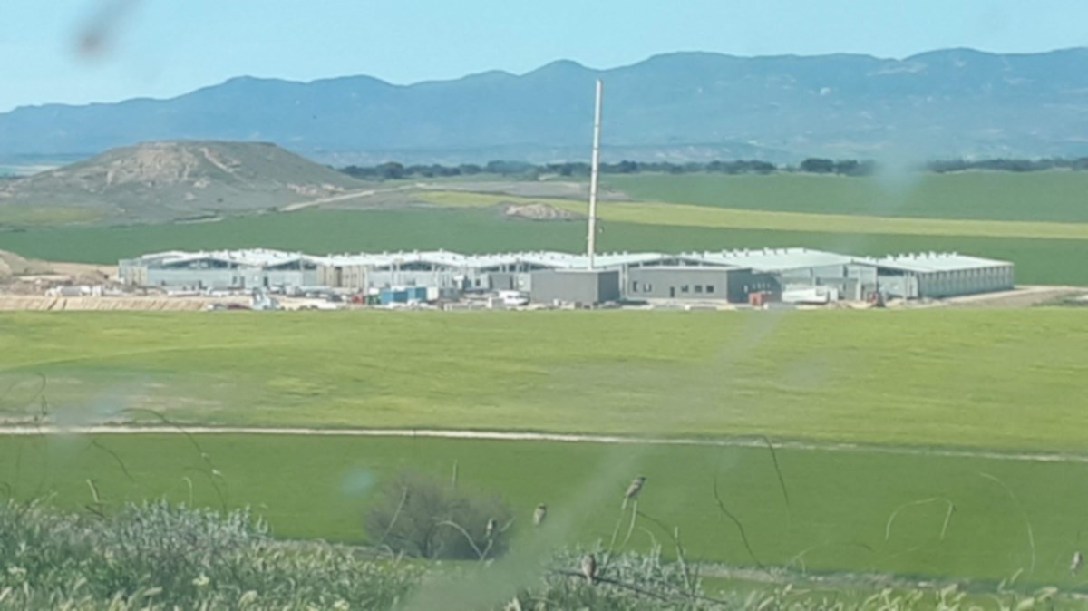 Image Case Study Estiche 1