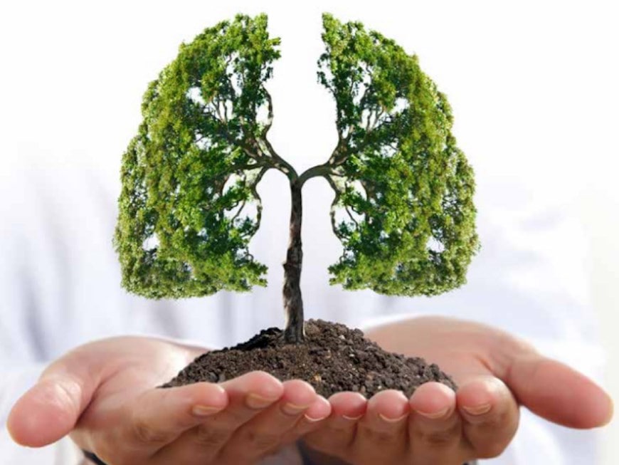 Mejora la calidad del aire interior mediante una adecuada ventilación y el uso de materiales no tóxicos, reduciendo el síndro