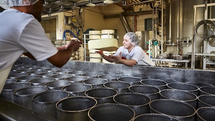 Käsereifung im Schweizer Unternehmen Schwyzer Milchhuus