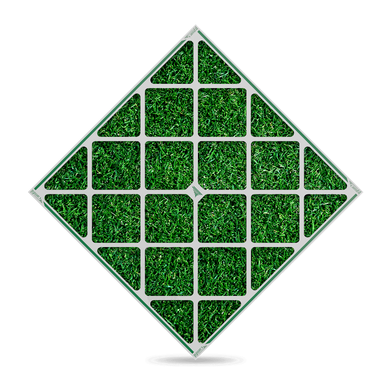 Green Daul10 1500x1500