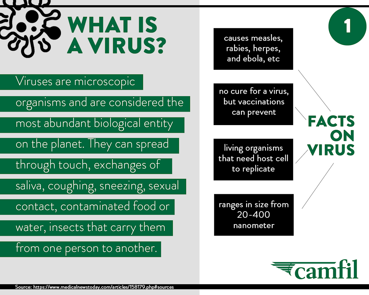 1 What is a virus - infographic