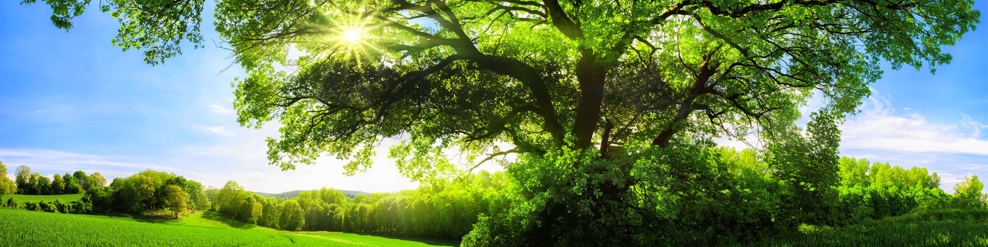 Camfil Clean Air Solutions Camfil