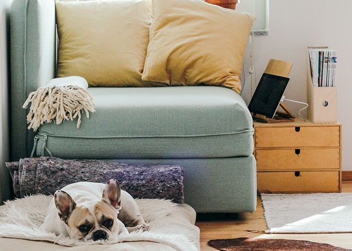 camfil-pollution-intérieur