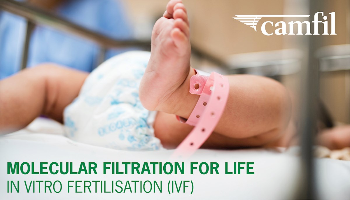 IVF Banner