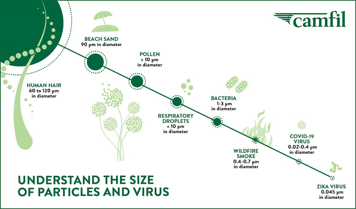 Size of the virus extended eng