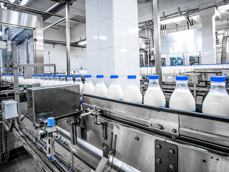 Promo Dairy Industry