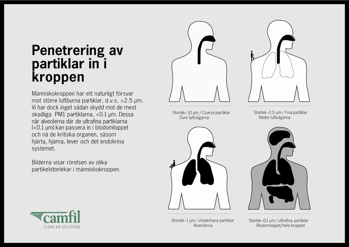Hva er støv? | Camfil