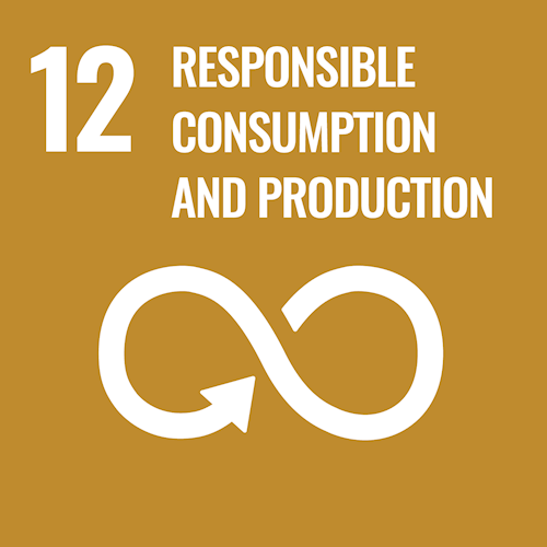 UN Sustainable Development Goal_12.png