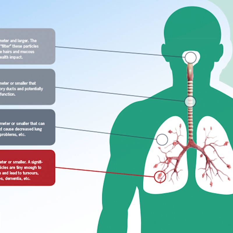 Particle Pollution Effects particle-pollution-effects