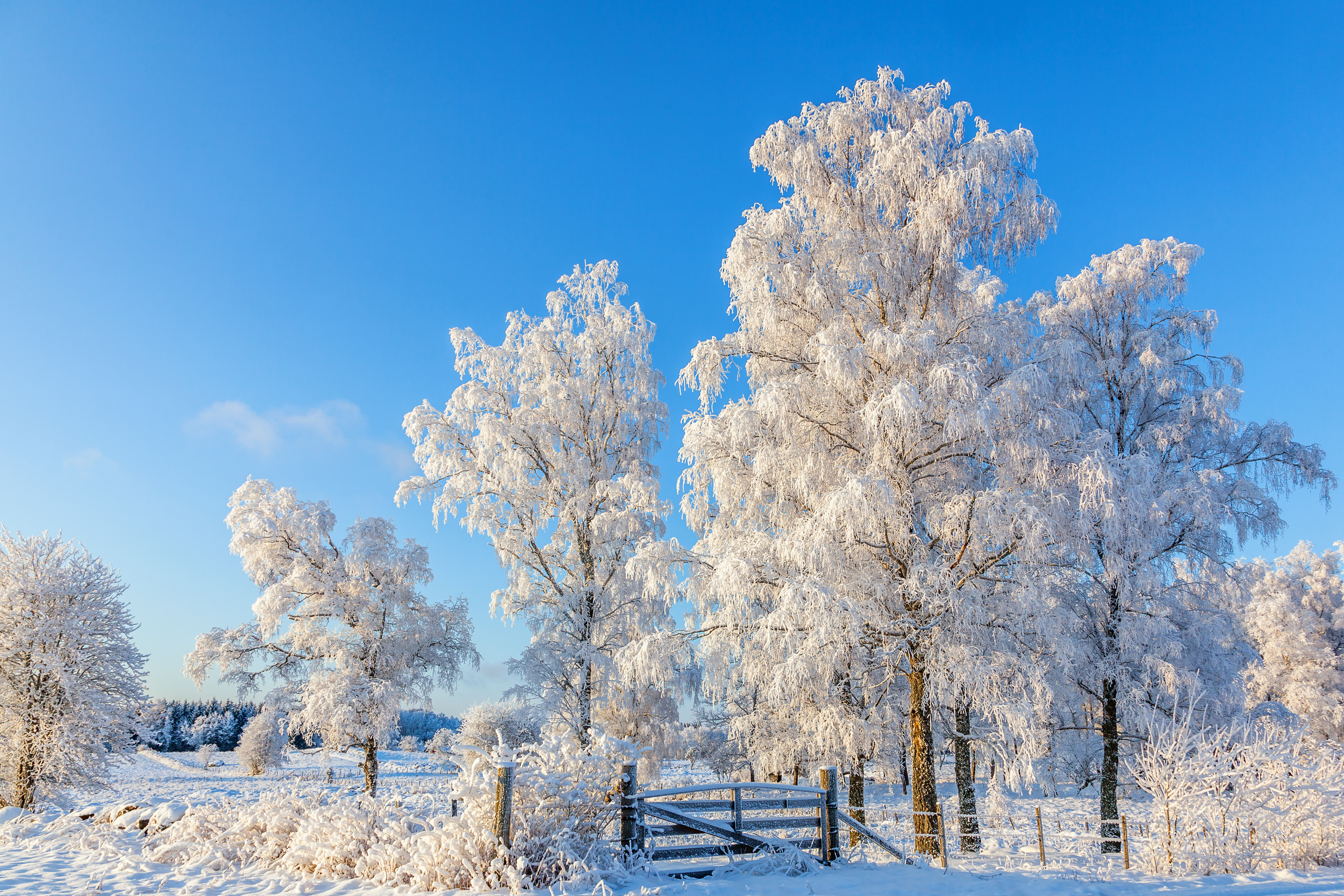 冬季气温，室外温度，空气过滤，室内空气品质
