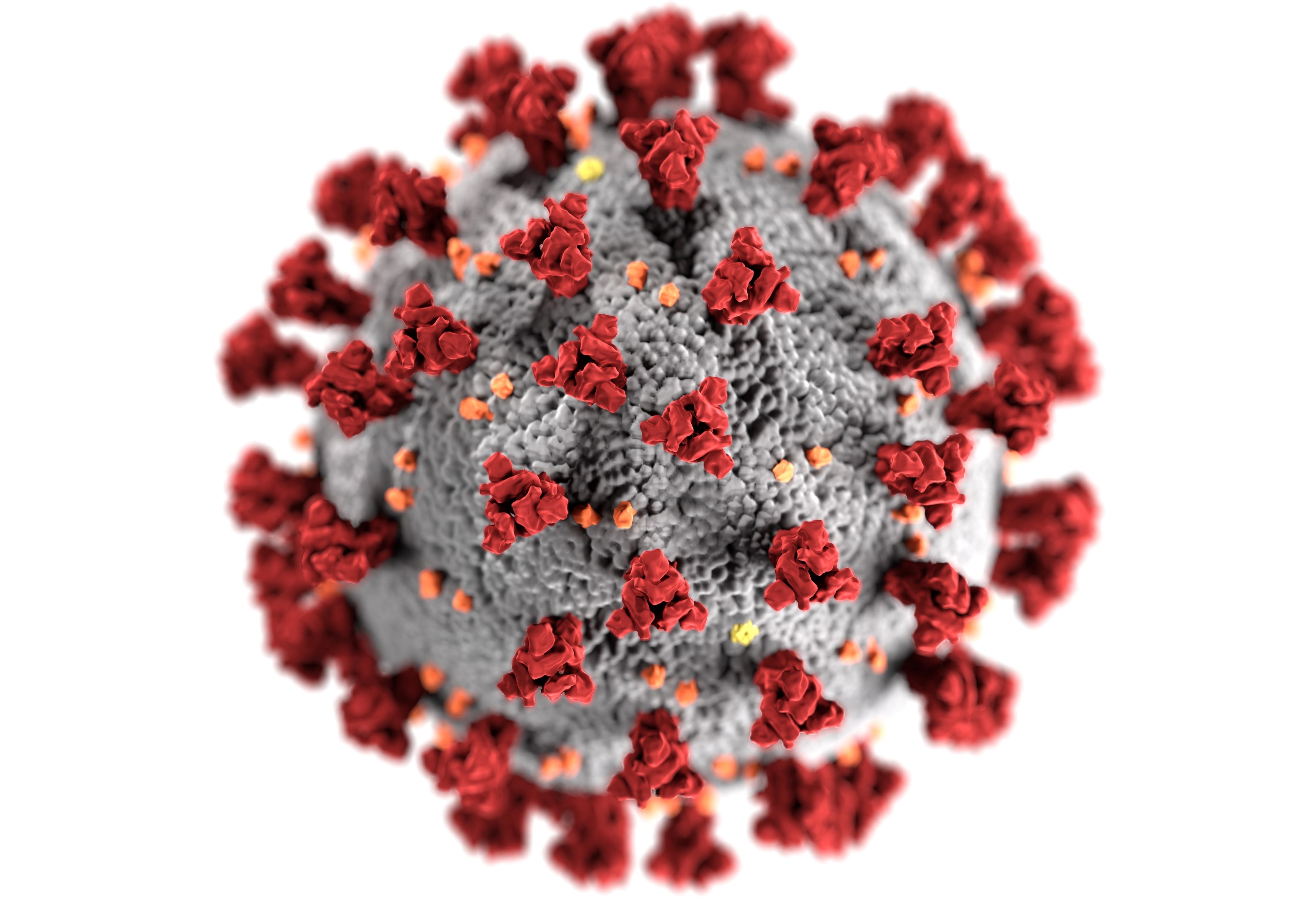 Virus
