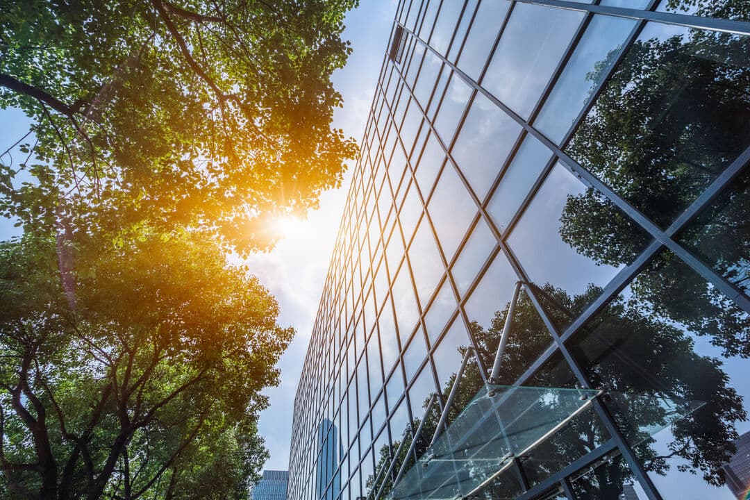 A modern glass building standing beside a tree.