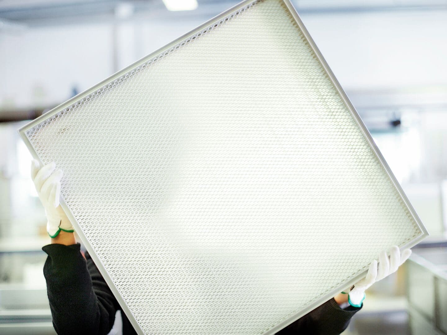 Person holding a Megalam filter