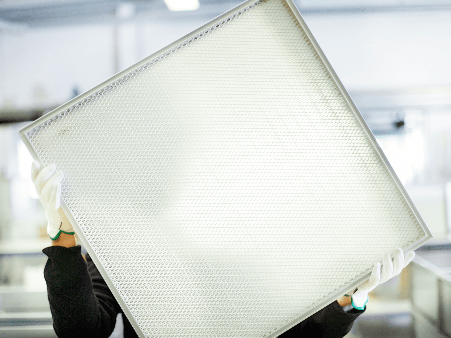 Person holding a Megalam filter