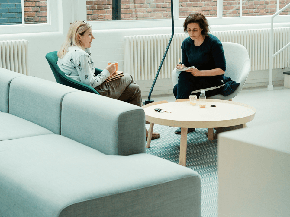 Women in office area in an interview