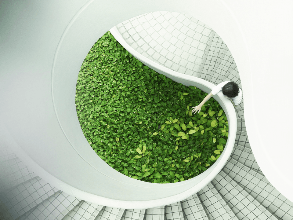 Escaliers avec végétation verte