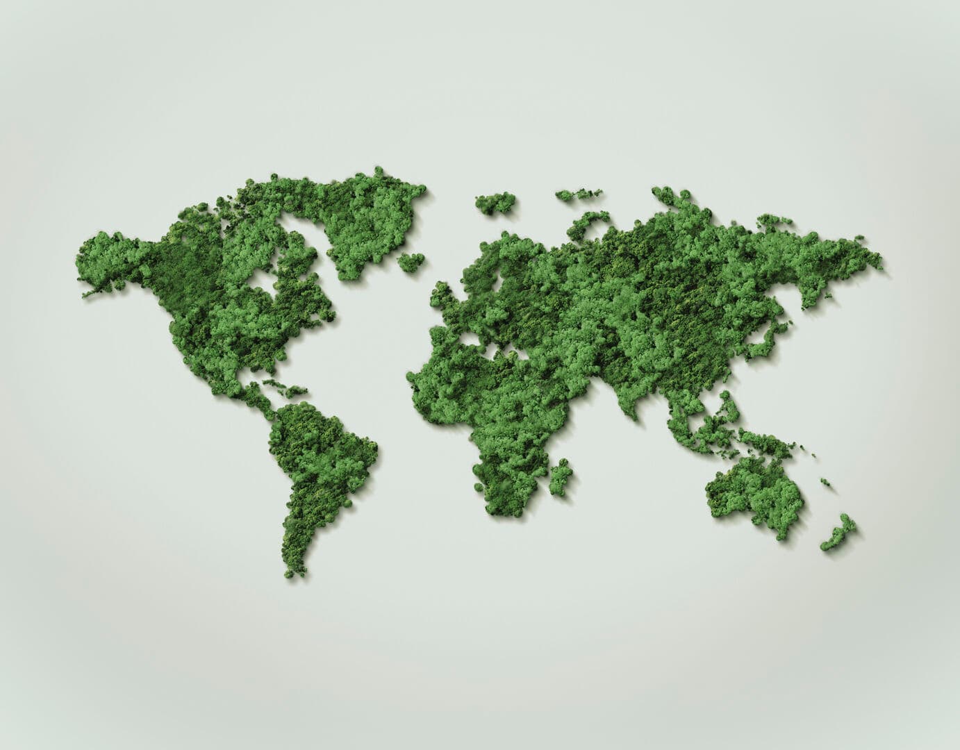 Carte du monde composée d’arbres verts