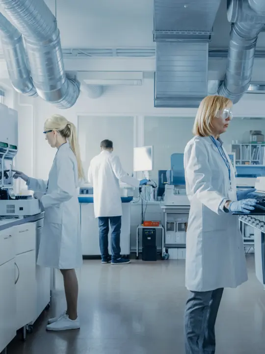 Lunch and learn campaign. Topic: clean process