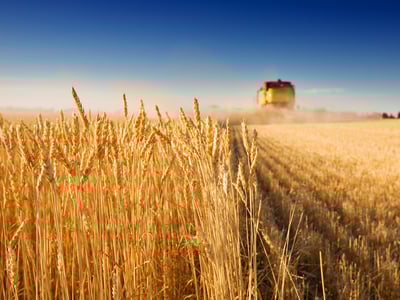 Agricultural Rural
