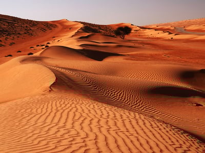 Desert