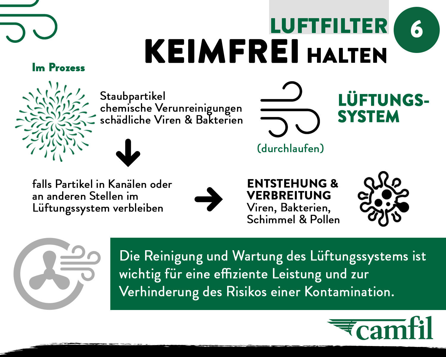 Luftfilter keimfrei halten