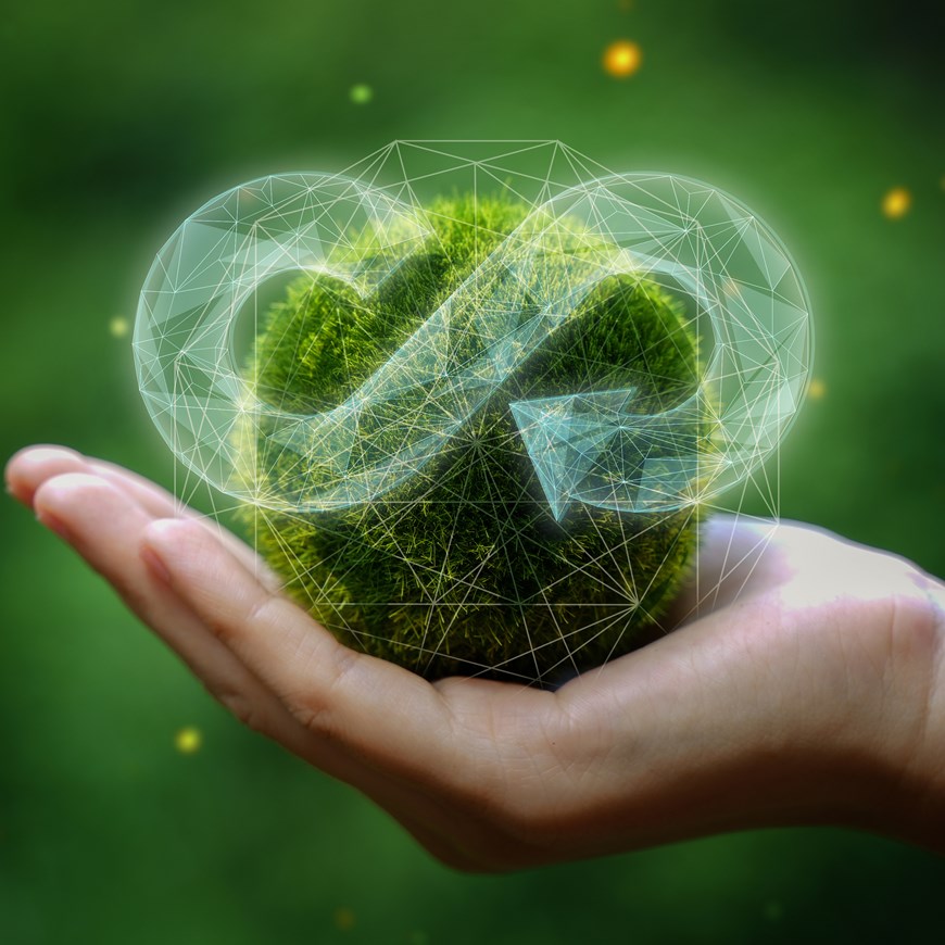 circular economy sustainability 