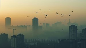 Pollution de l’air : définition, causes et impacts sur la santé