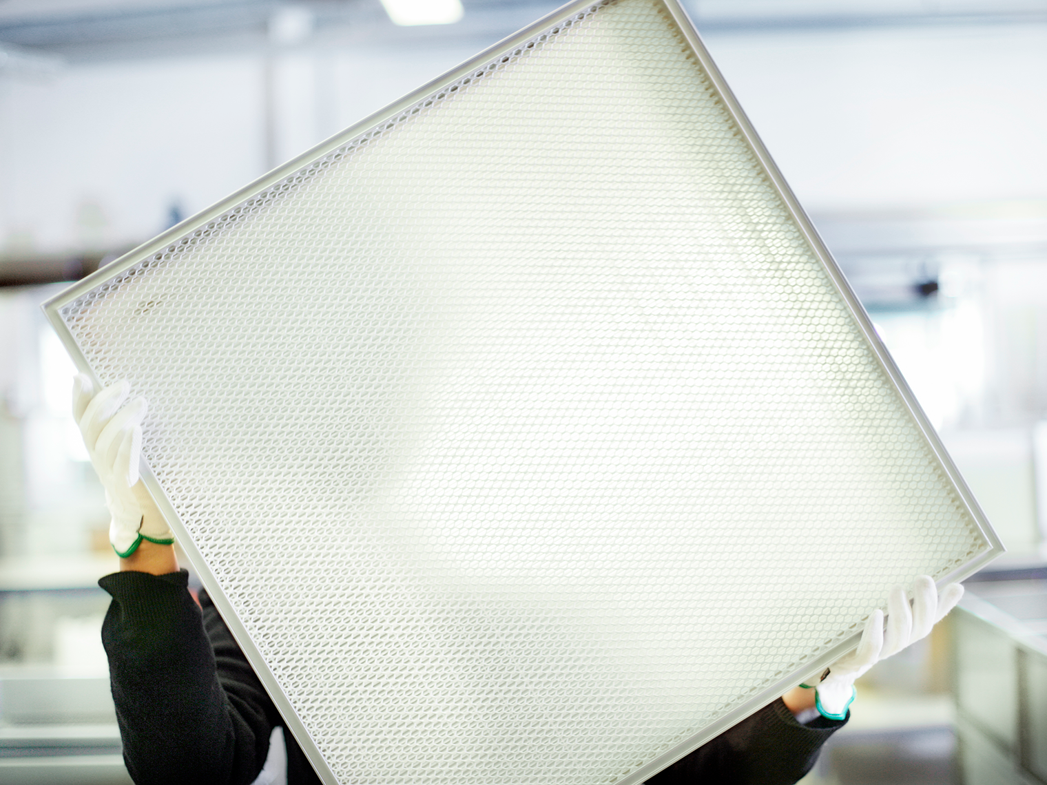Person holding a Megalam filter