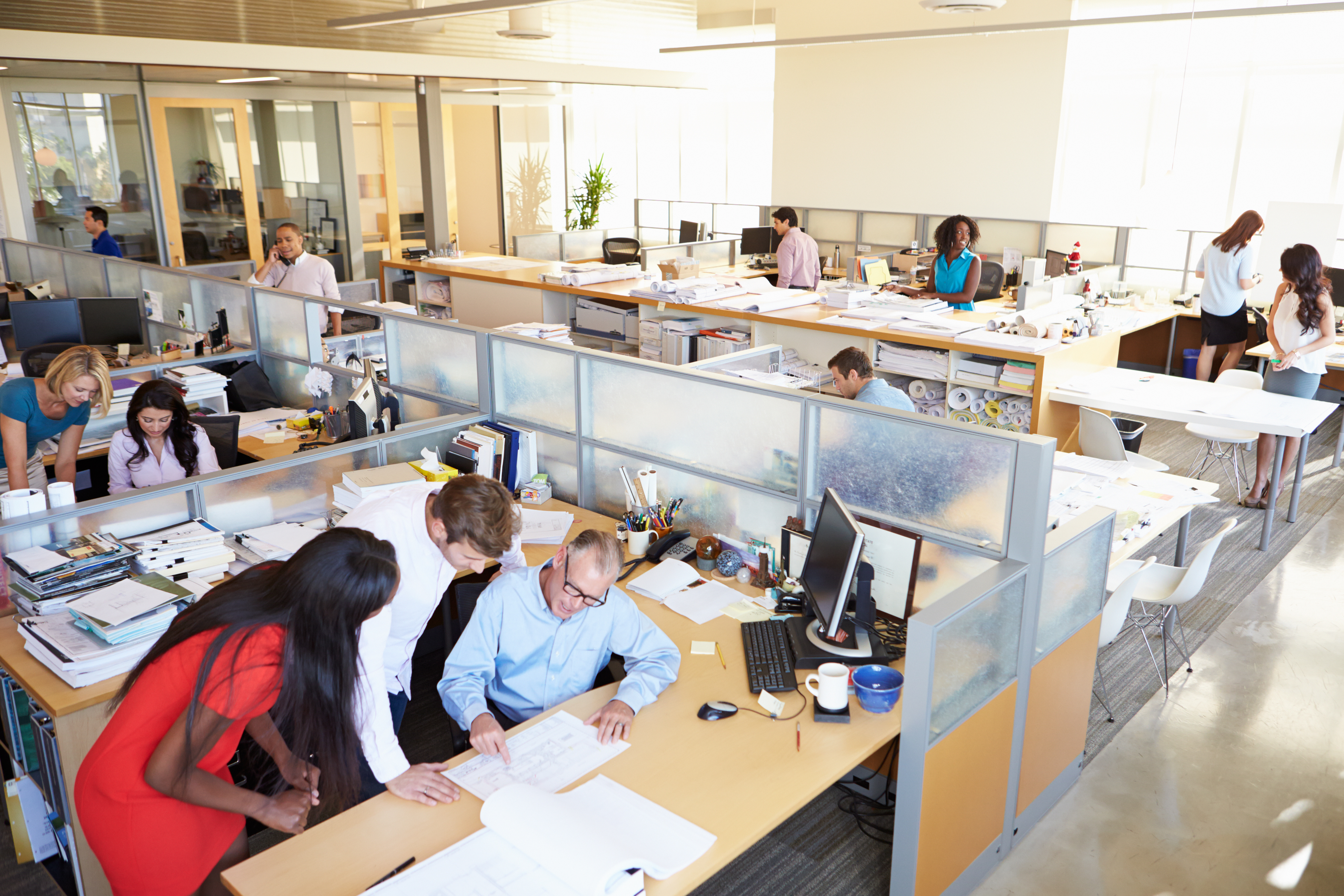 Interior of busy office. Open floor plan with cubicles.